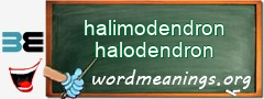 WordMeaning blackboard for halimodendron halodendron